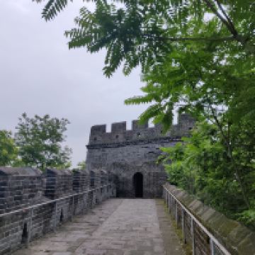 評論圖片 5