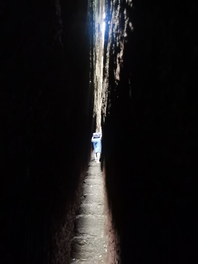 도원동