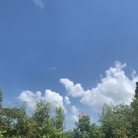 評論圖片 1