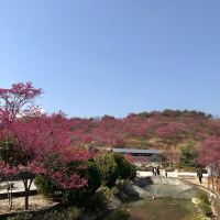評論圖片 1