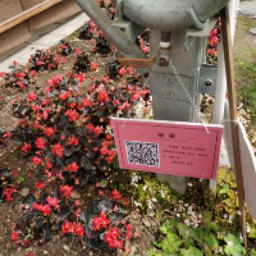 評論圖片 6
