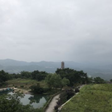 評論圖片 8