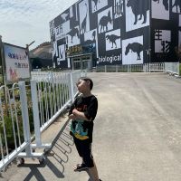 評論圖片 7