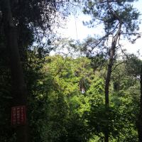 評論圖片 1