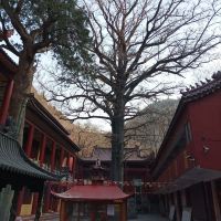 評論圖片 2