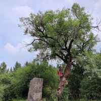 評論圖片 4