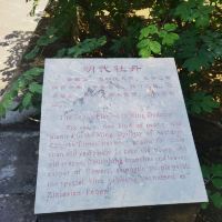 評論圖片 8