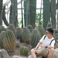 評論圖片 7