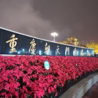 評論圖片 9