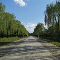 評論圖片 4