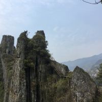 評論圖片 5