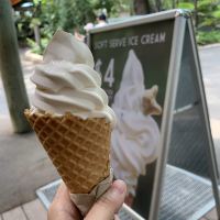 評論圖片 9