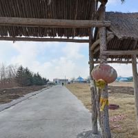 評論圖片 1