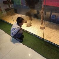 評論圖片 6