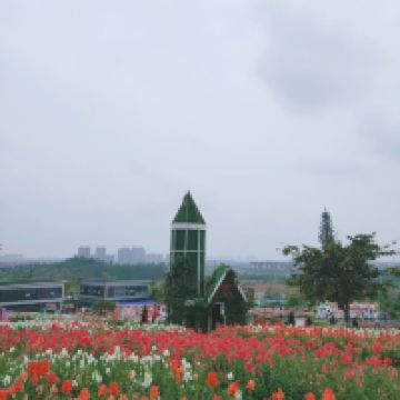 評論圖片 2
