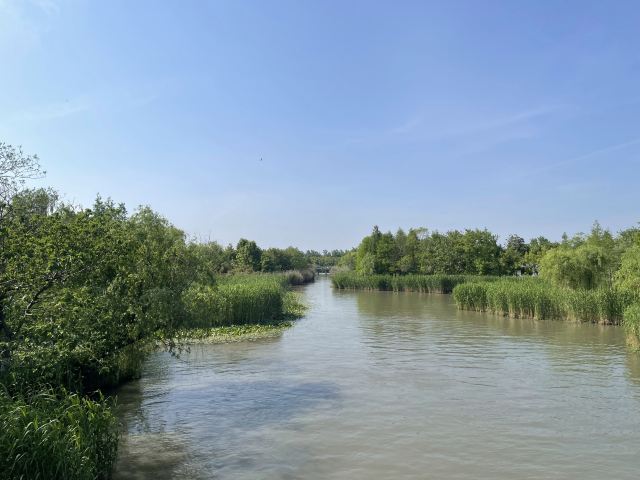 Shajiabang Scenic Area