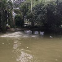 評論圖片 8