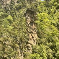 評論圖片 6