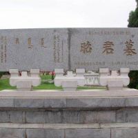 評論圖片 5