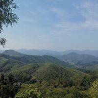 評論圖片 2