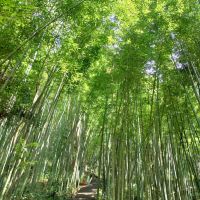 評論圖片 2