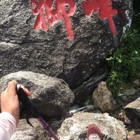 評論圖片 1