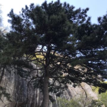 評論圖片 2