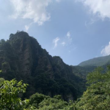 評論圖片 5