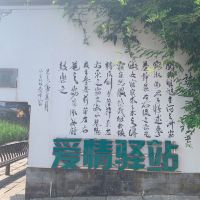 評論圖片 8