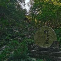 評論圖片 6