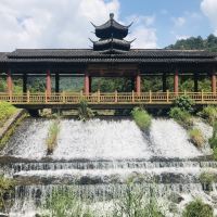 評論圖片 7
