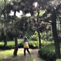 評論圖片 3