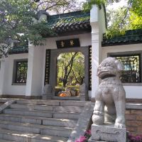 評論圖片 3
