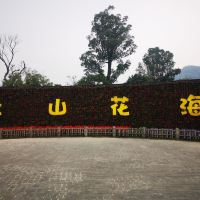 評論圖片 6