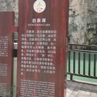 評論圖片 2