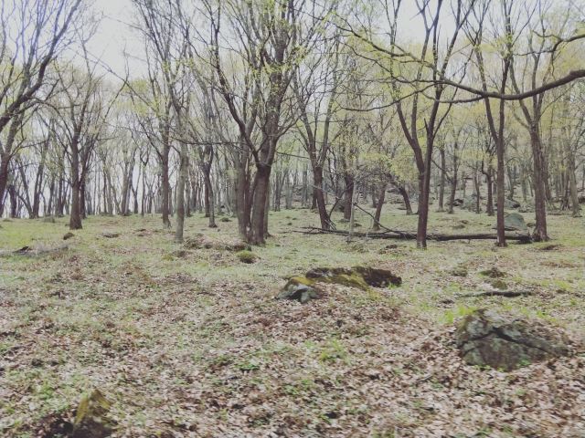 Pingshan Shenlu Tourist Area