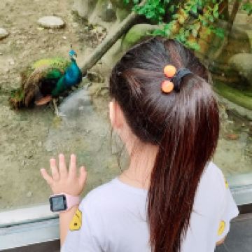 評論圖片 9