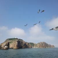 評論圖片 3