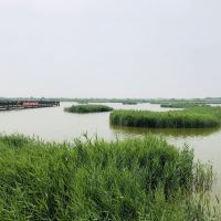 評論圖片 5