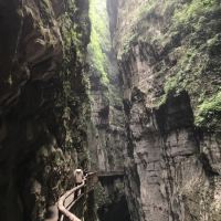 評論圖片 5