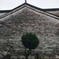 評論圖片 7