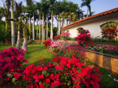 สวนพฤกษศาสตร์เซียนหู