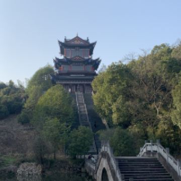 評論圖片 8