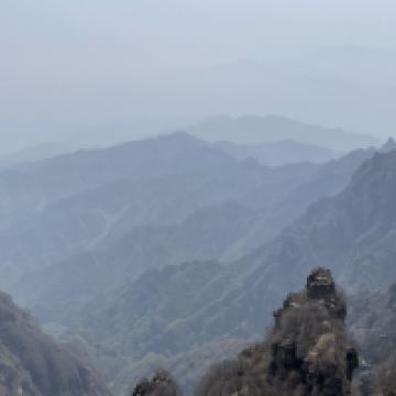 評論圖片 5