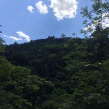 評論圖片 1