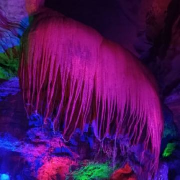 評論圖片 5