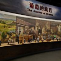 評論圖片 6