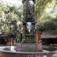 評論圖片 2