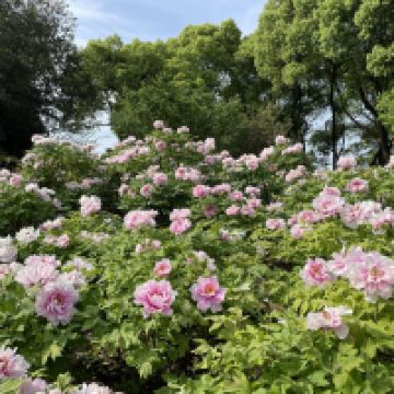 評論圖片 3