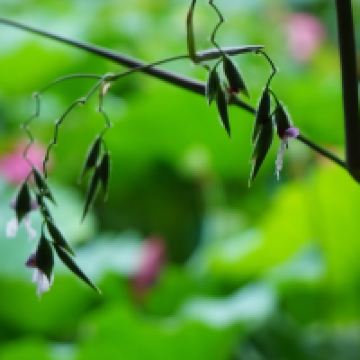 評論圖片 2
